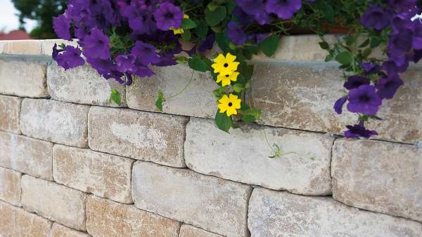 Frühwald Petra falazókő - Morva agyag