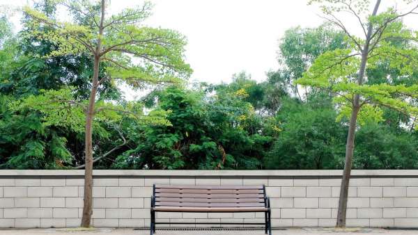 Frühwald Soneva falazókő - Krémfehér